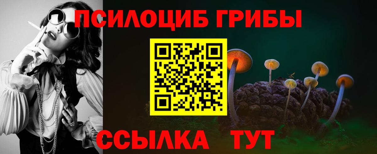 Дзержинск  Псилоцибиновые грибы Psilocybine cubensis  Вход с VPN 